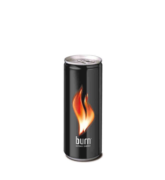 Burn Energy 0.25L