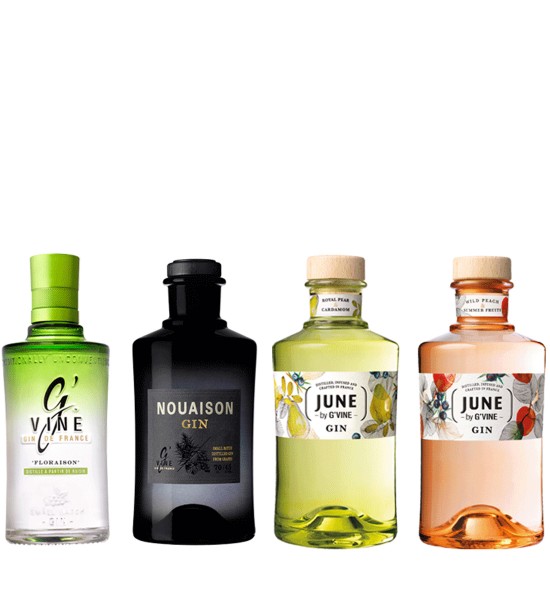 Gin G Vine Collection Gift Set 0.05L